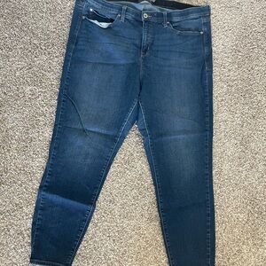 torrid Medium Blue Skinny Jeans